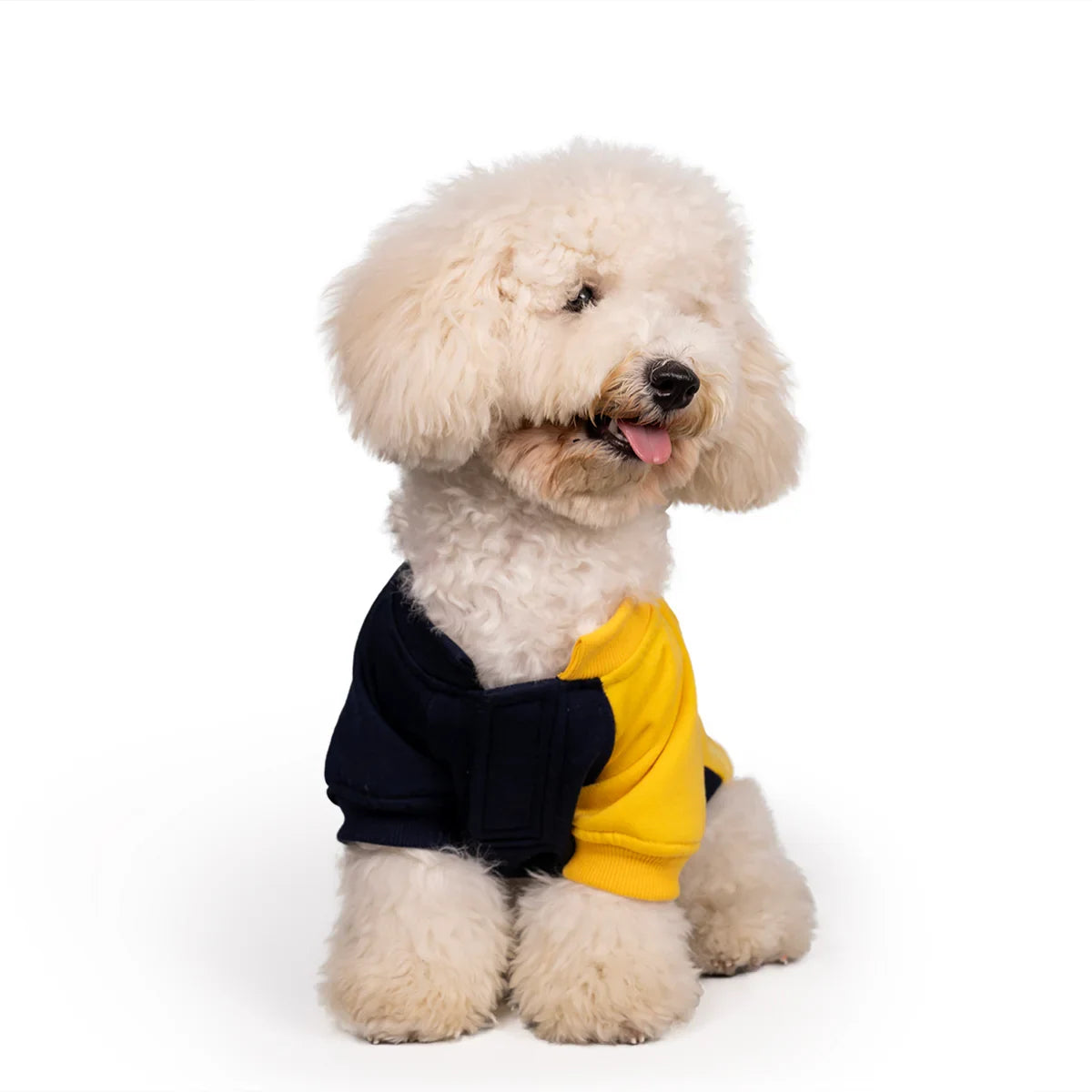 ZL Winterized DuoTone Dog Sweatshirt Yellow - Zigly