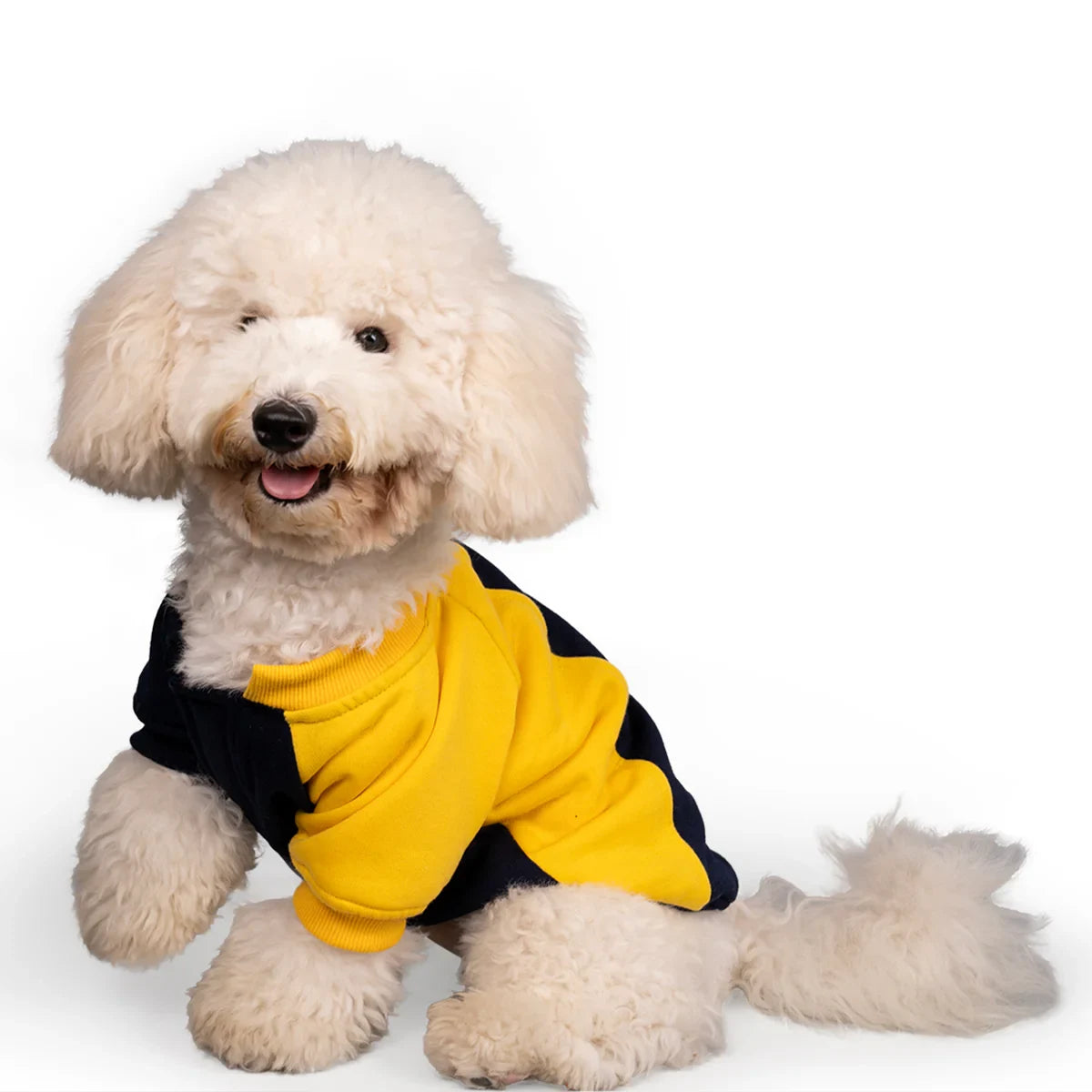 ZL Winterized DuoTone Dog Sweatshirt Yellow - Zigly