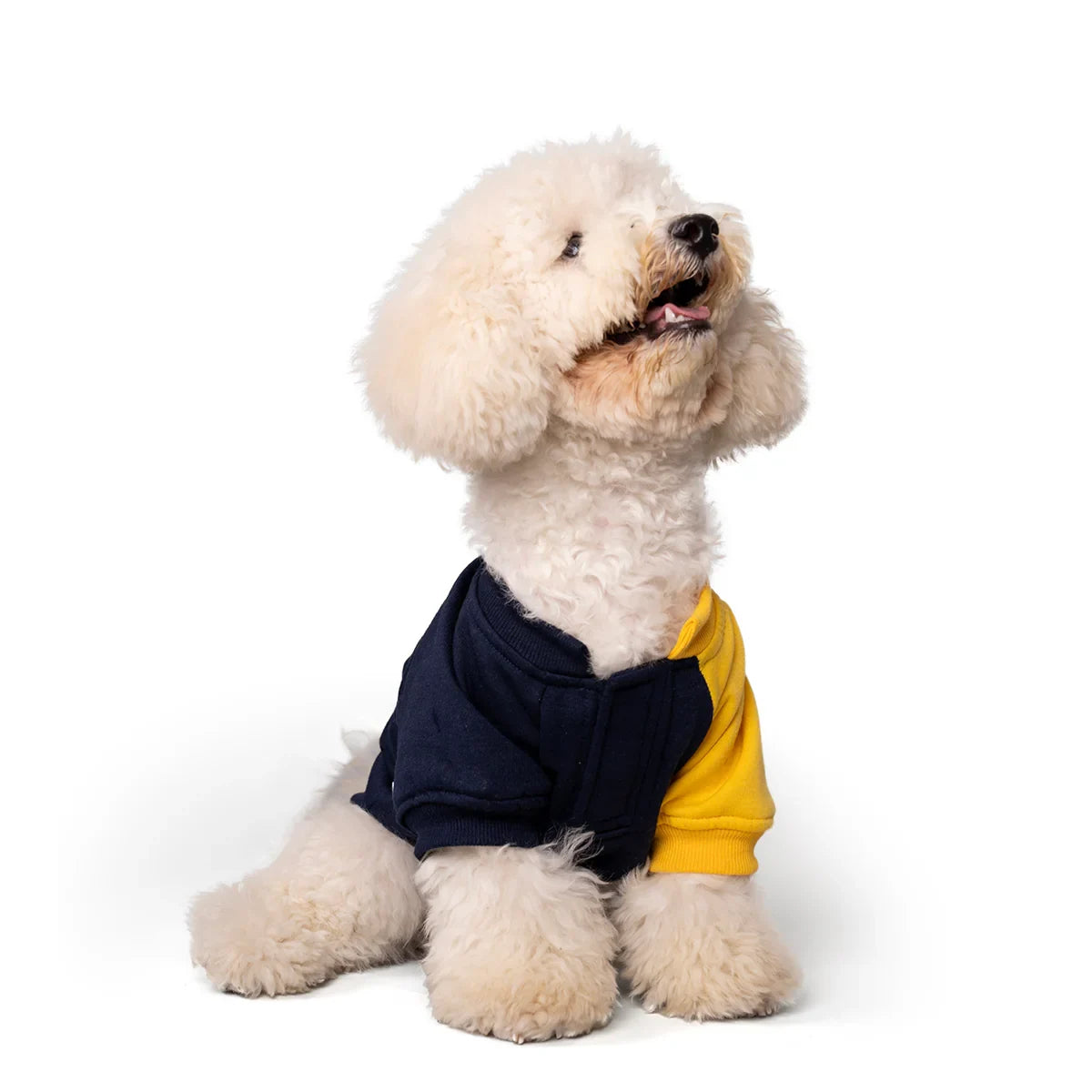 ZL Winterized DuoTone Dog Sweatshirt Yellow - Zigly