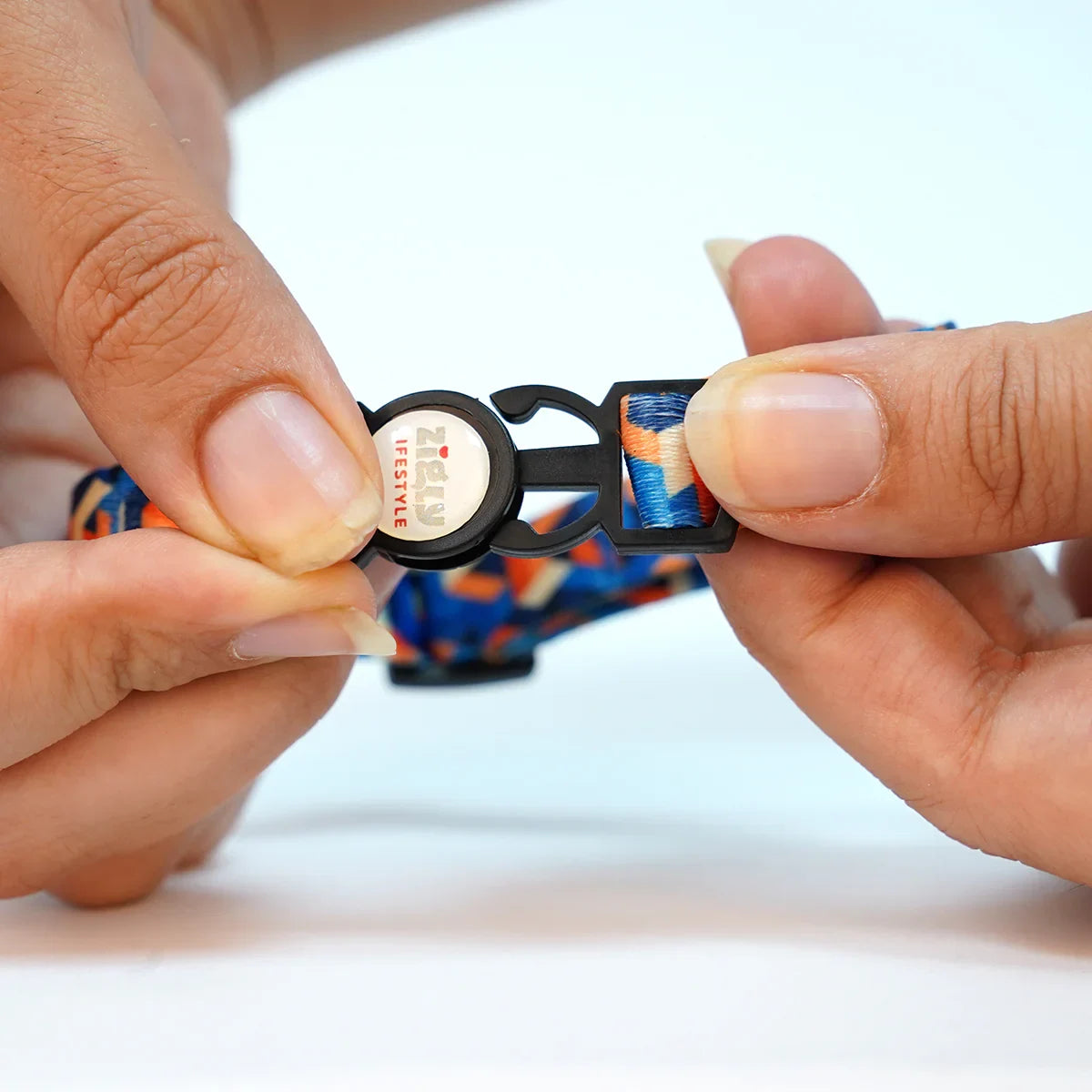 ZL Sandy Shore Cat Collar with Bell - Zigly