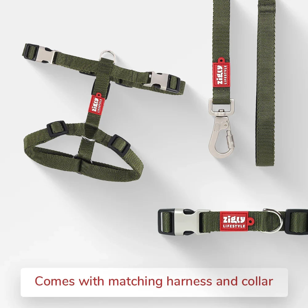 ZL Classic Leash Olive Green - Zigly