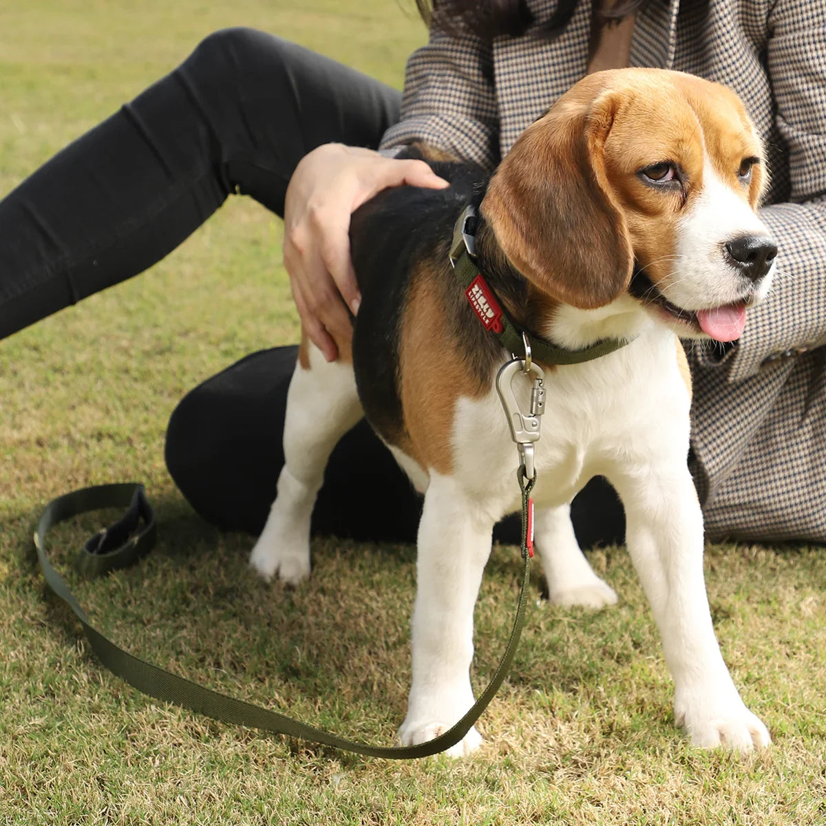 ZL Classic Leash Olive Green - Zigly