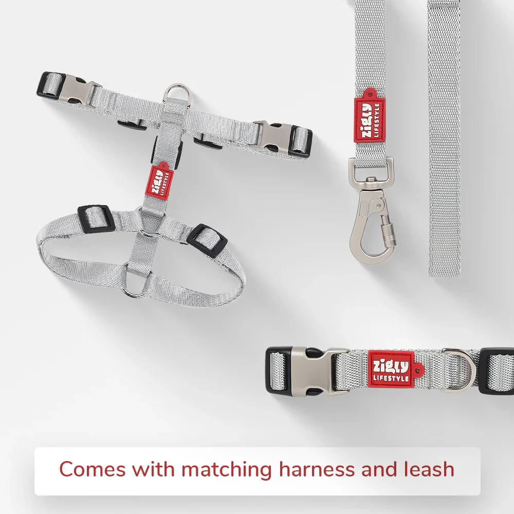 Zl Classic Silver Dog Collar - Zigly