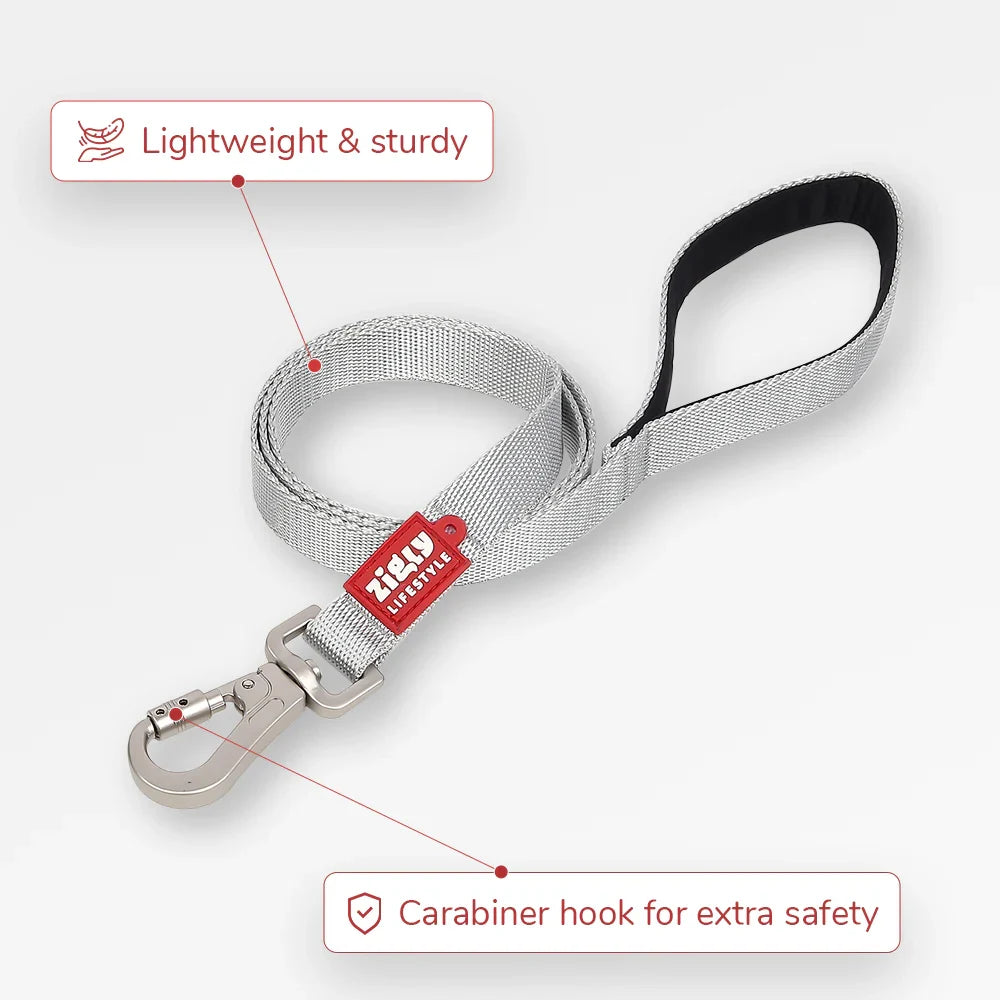 ZL Classic Dog Leash Silver - Zigly