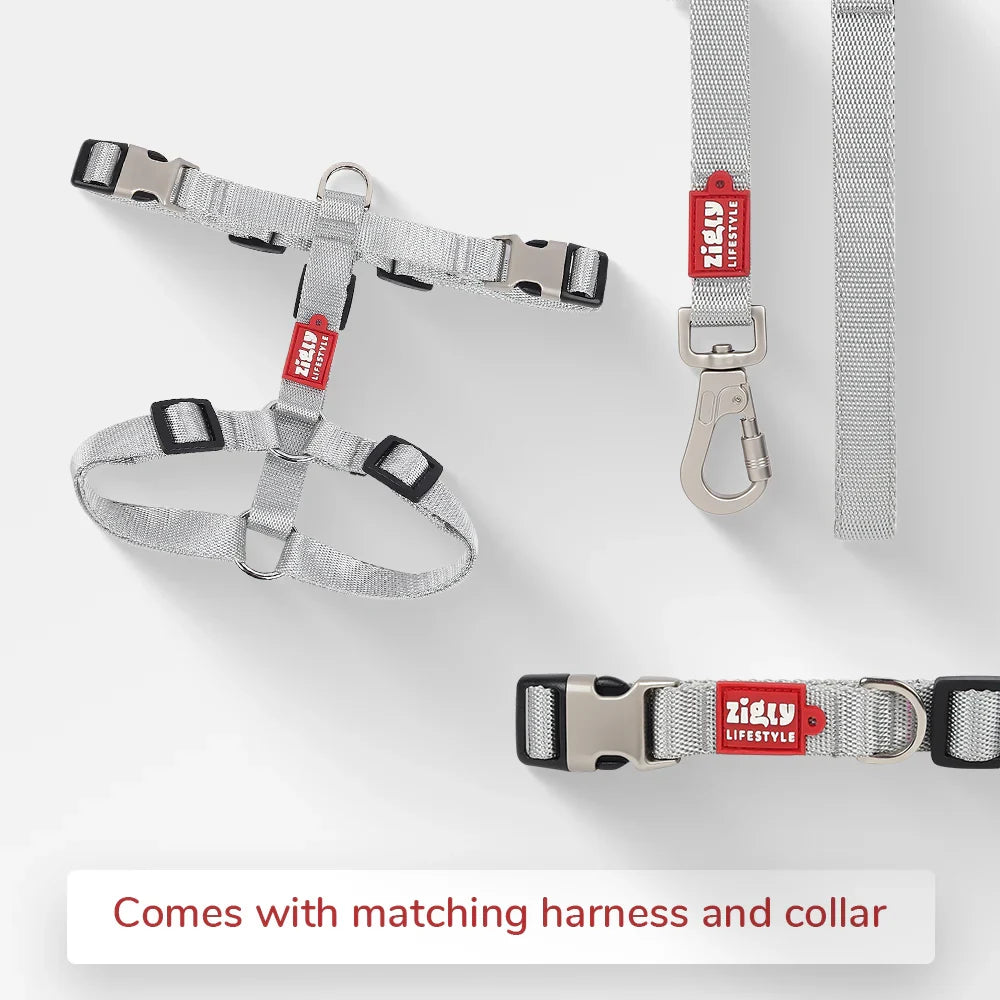 ZL Classic Dog Leash Silver - Zigly