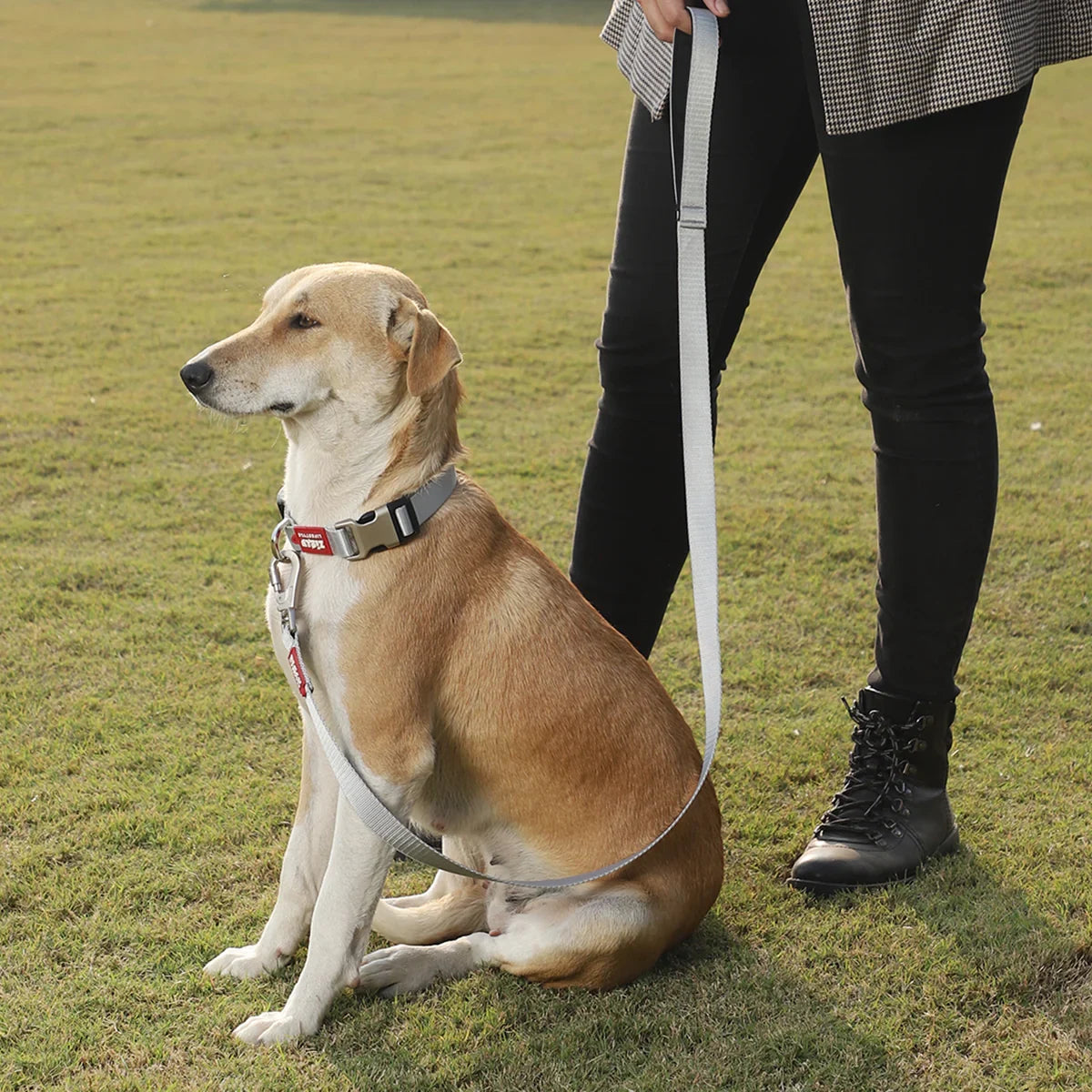 ZL Classic Dog Leash Silver - Zigly