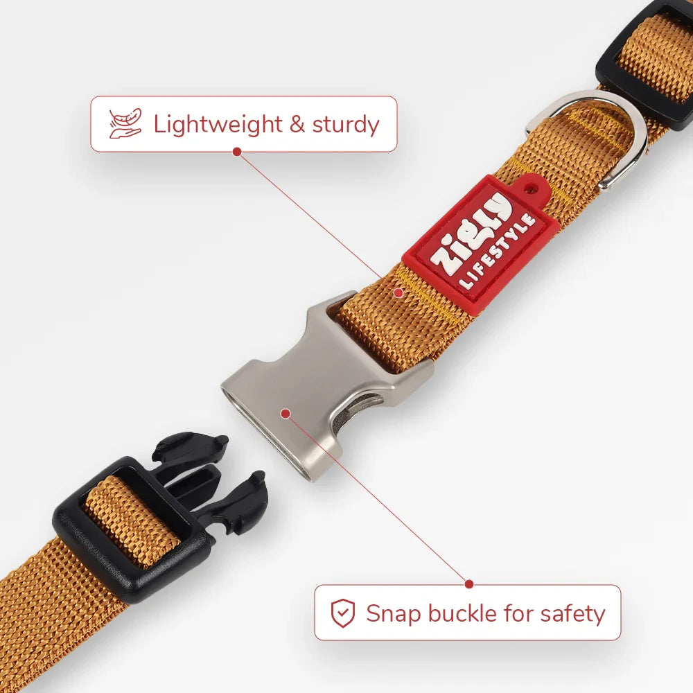 Zl Classic Gold Dog Collar - Zigly