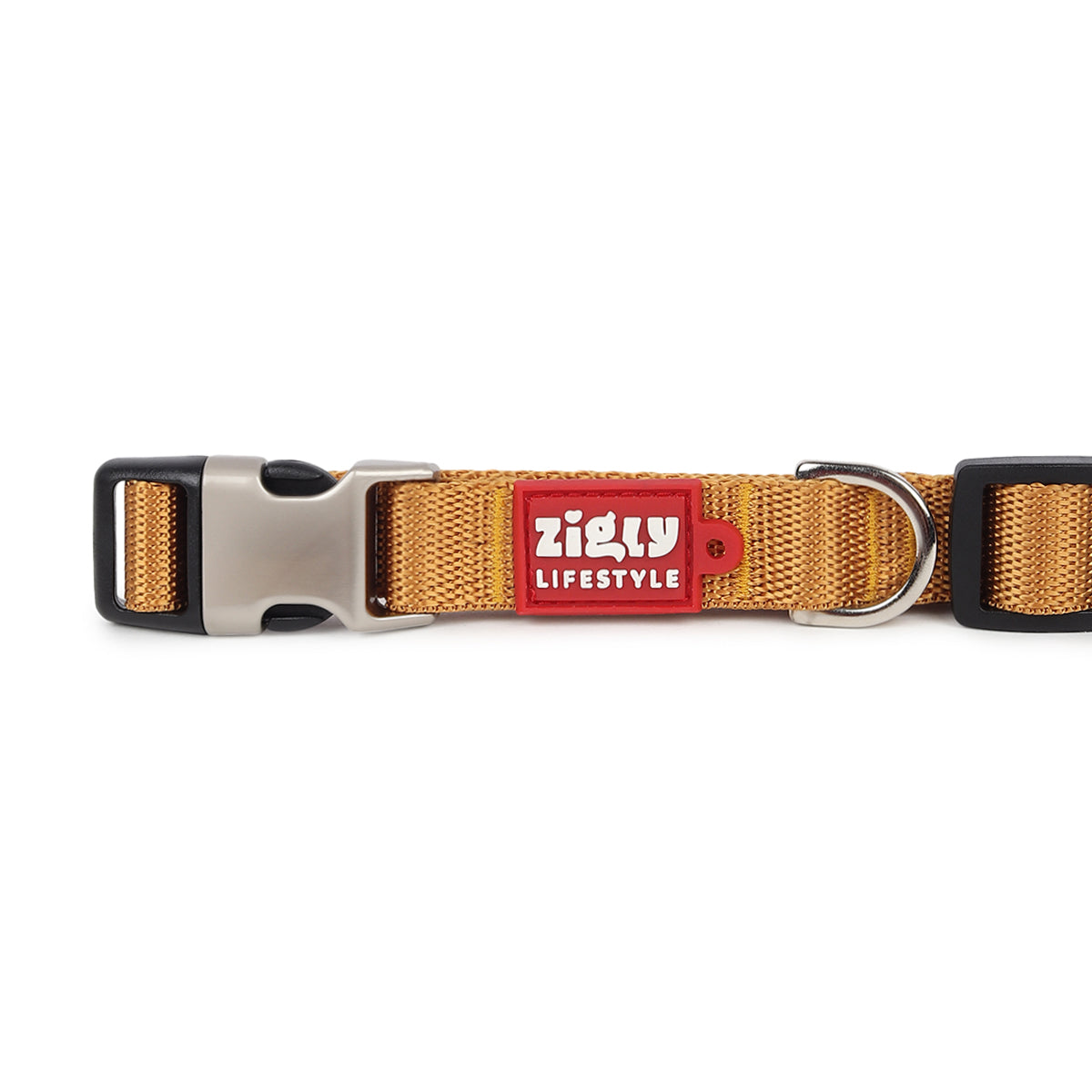 Zl Classic Gold Dog Collar - Zigly