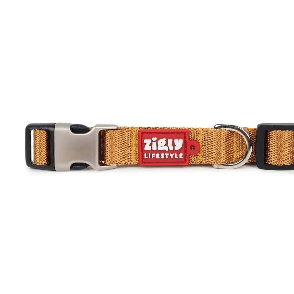 Zl Classic Gold Dog Collar - Zigly