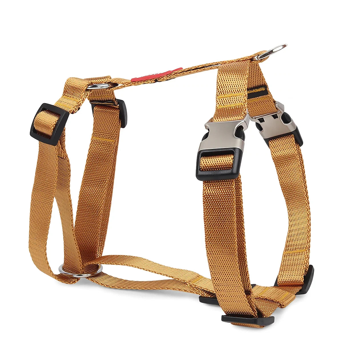 ZL Classic Dog H Harness Gold - Zigly