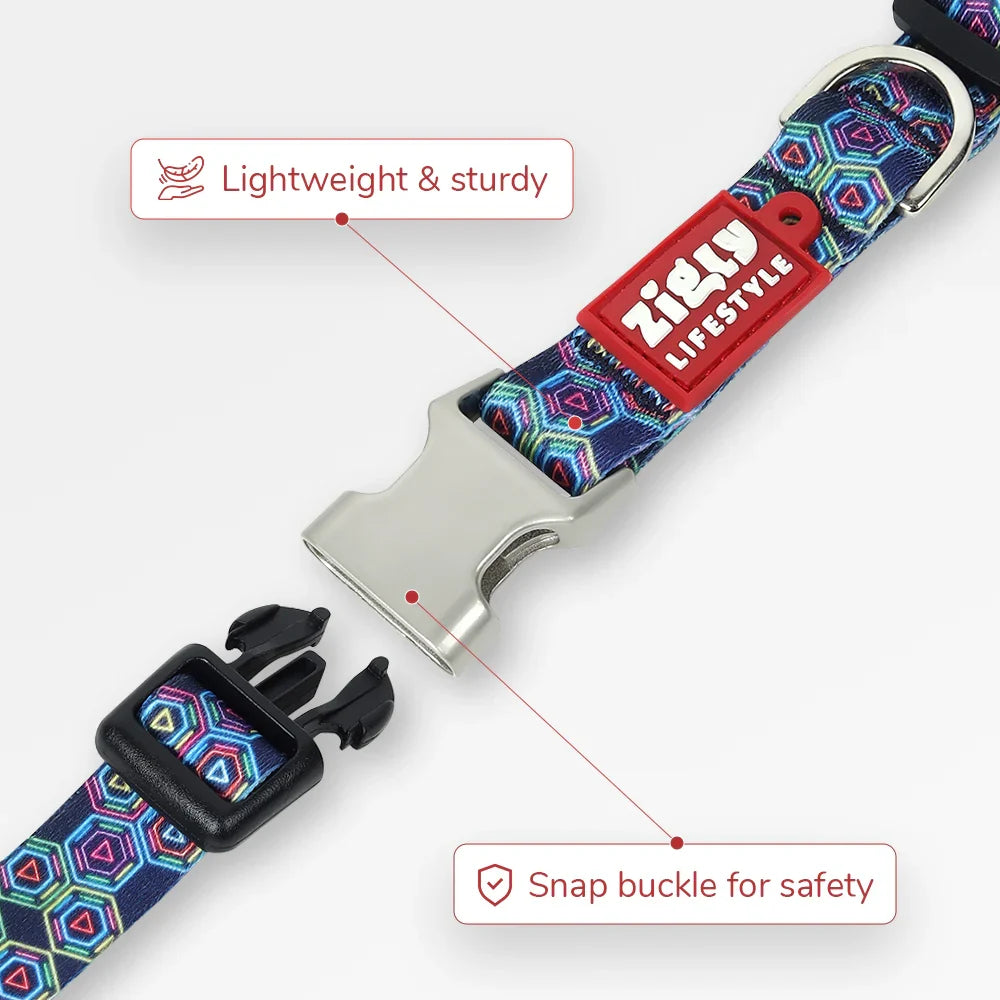 ZL Disco Dog Collar - Zigly