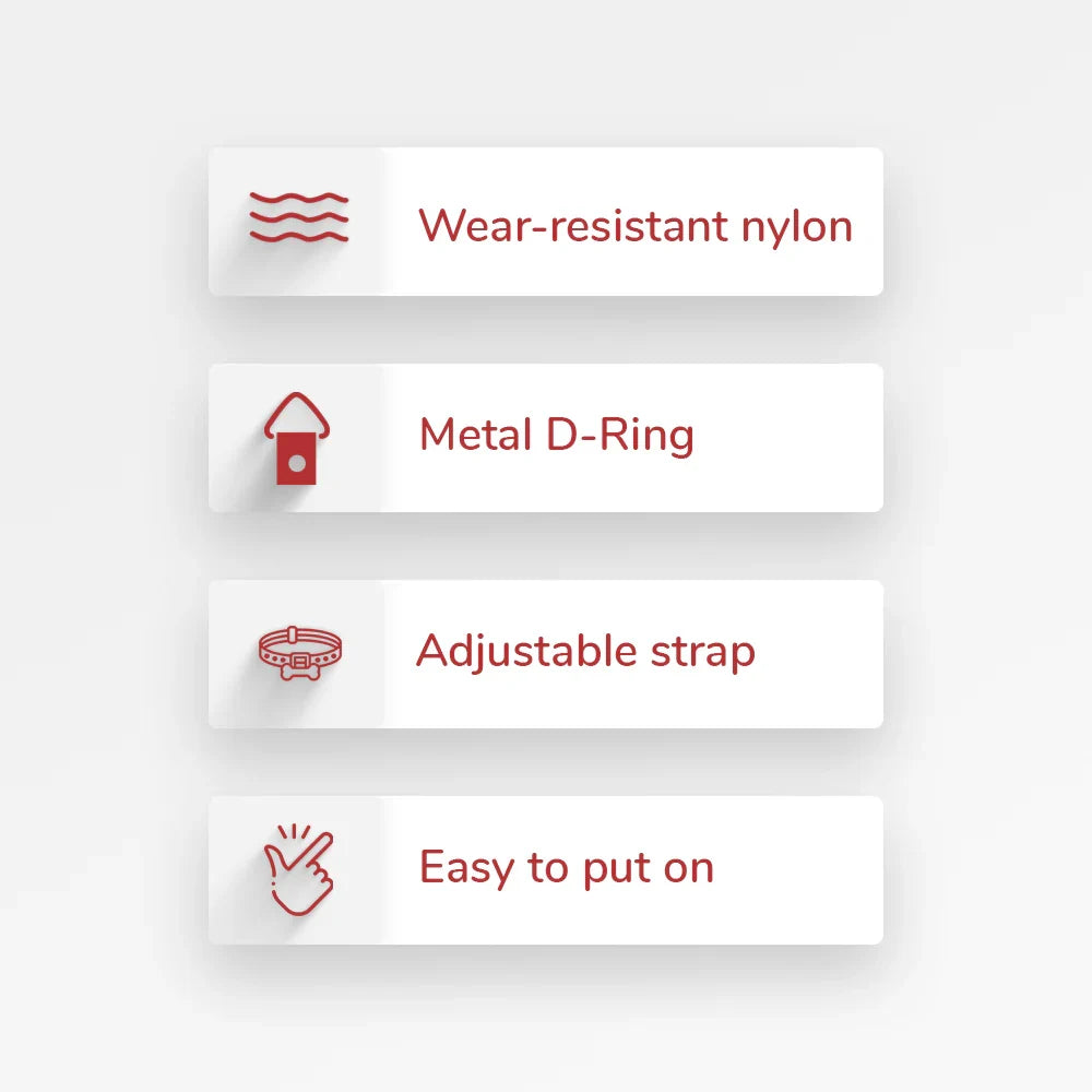 ZL Disco Dog Collar - Zigly