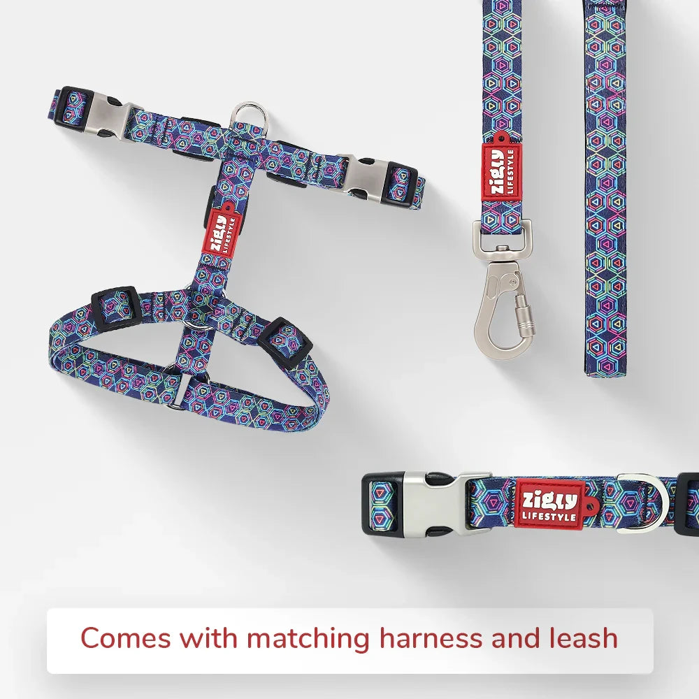 ZL Disco Dog Collar - Zigly