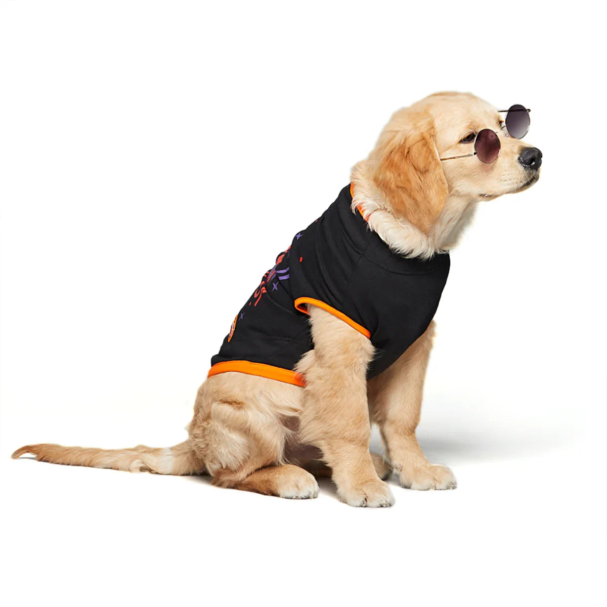 beboji O Bete Mauj Kardi Dog Tshirt - Zigly