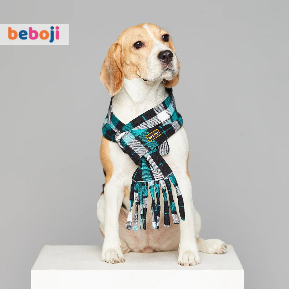 beboji Plaid Checks Muffler for Dogs & Cats - Zigly