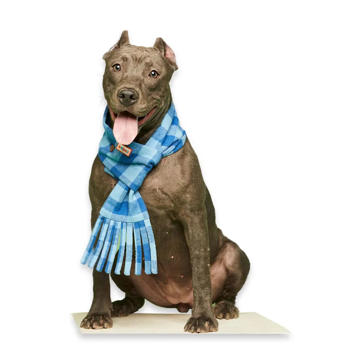 beboji Checkmaster Muffler for Dogs & Cats - Zigly