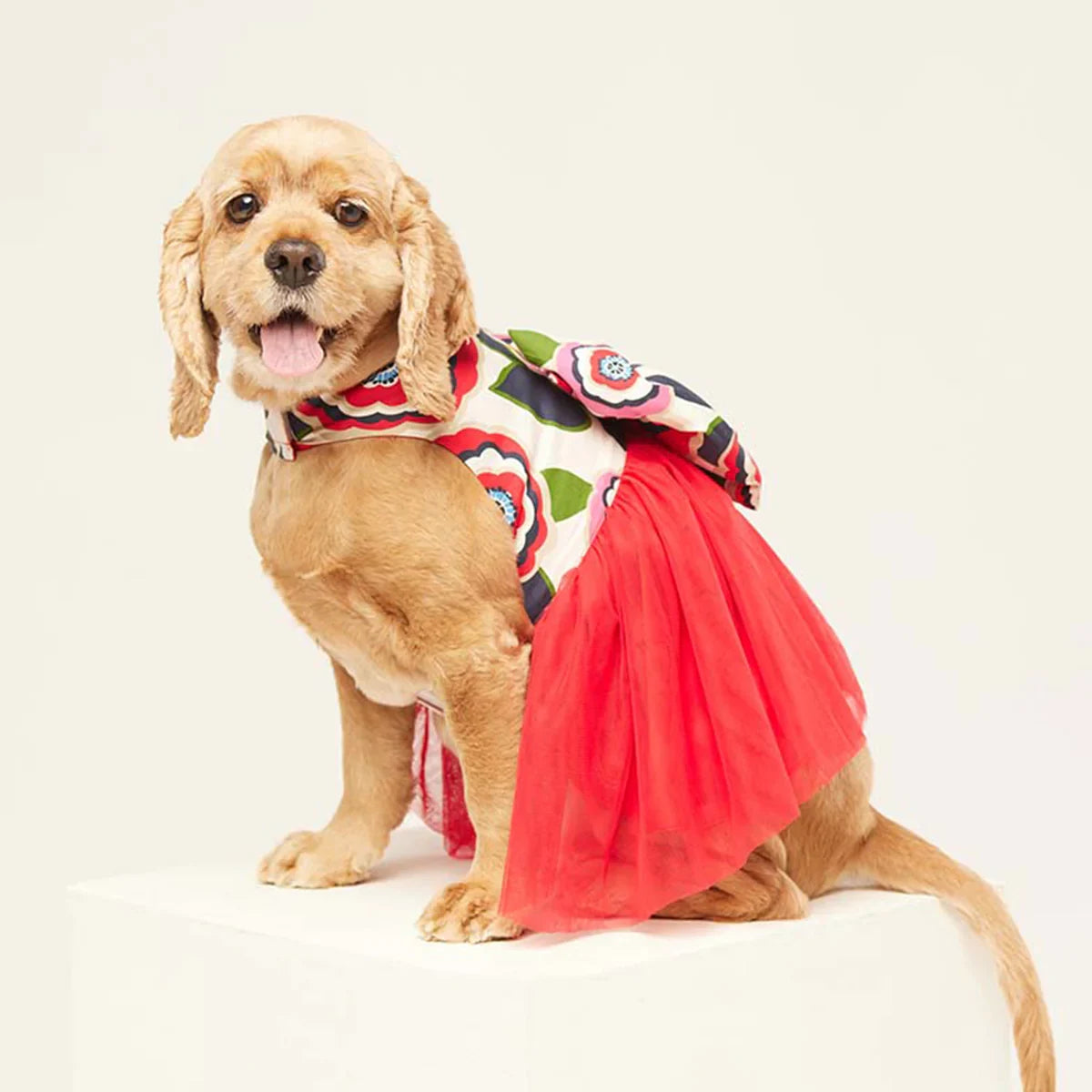 beboji Big Bow Flare Dog Frock - Zigly