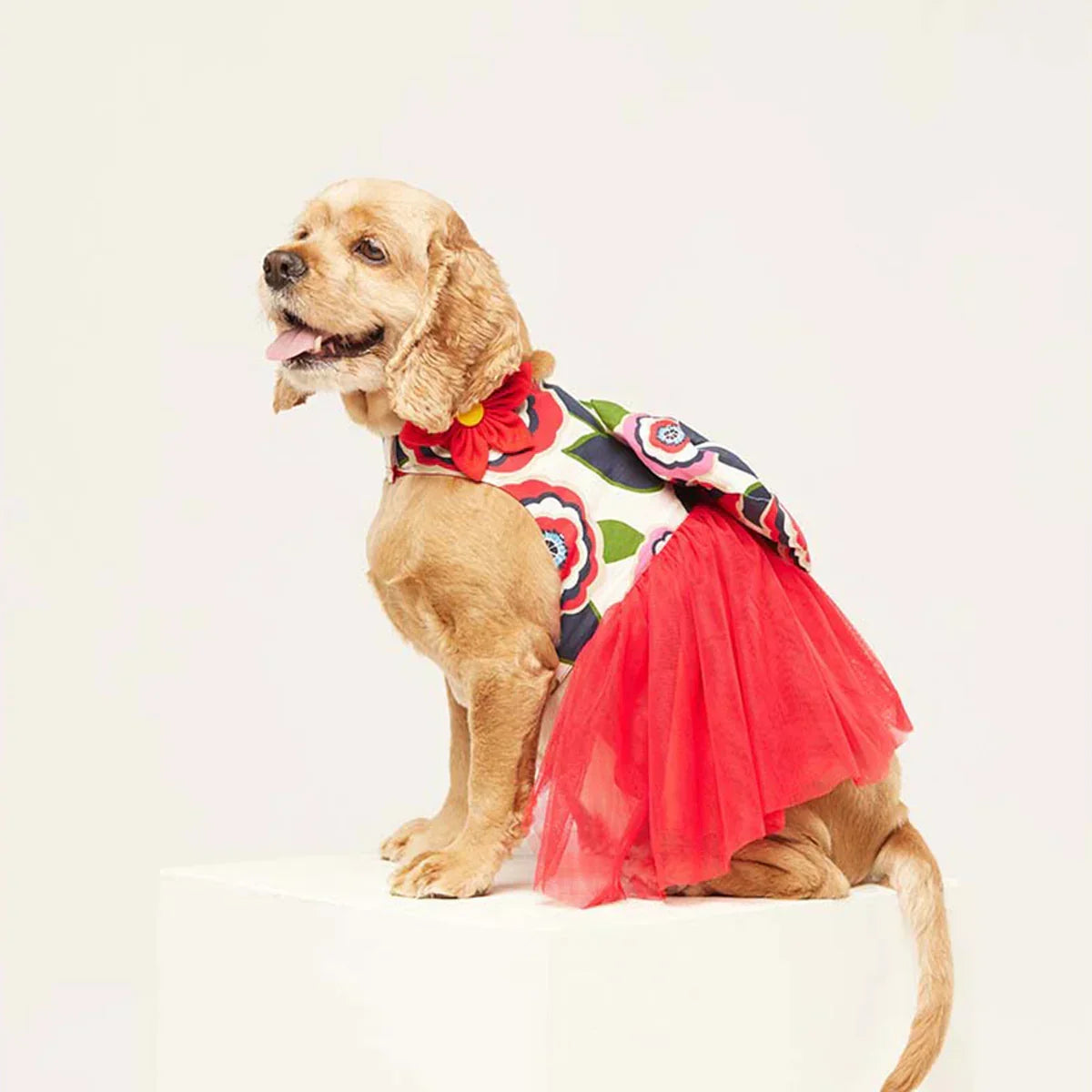 beboji Big Bow Flare Dog Frock - Zigly
