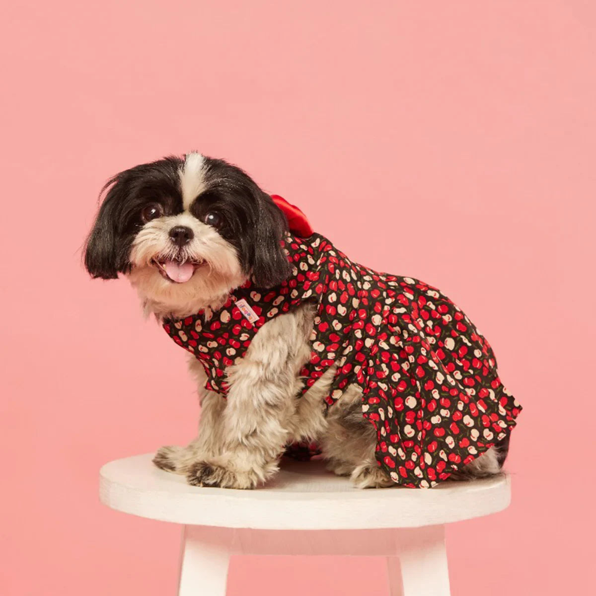 beboji Cherry Printed Flare Set - Zigly