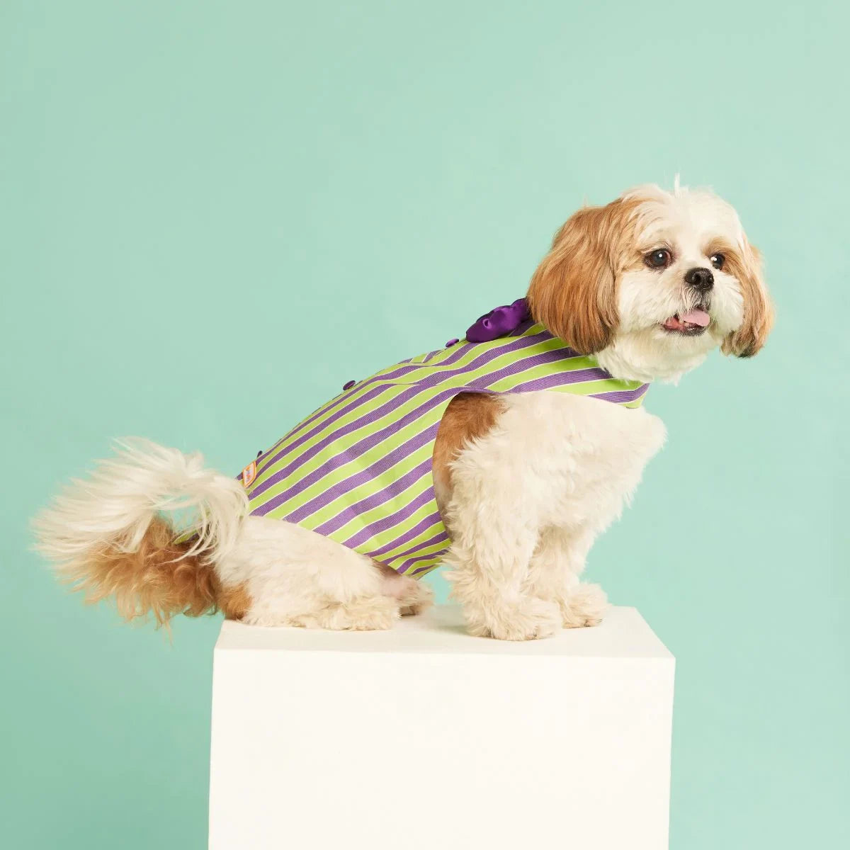 beboji Grassy Stripe Tux with Bow - Zigly