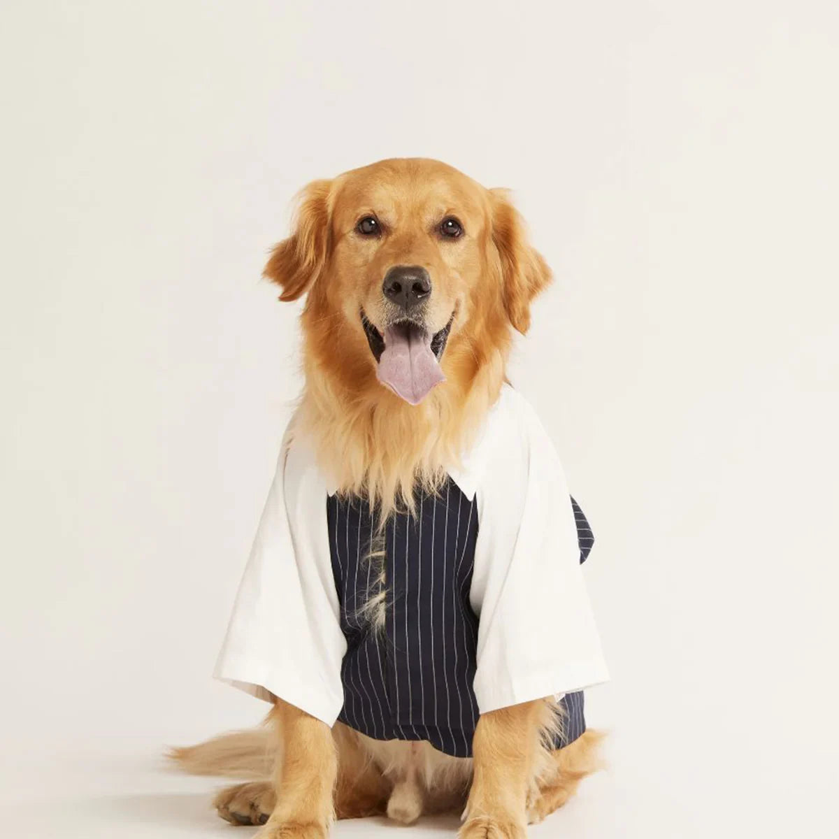 beboji Classy Gentleman Black Stripe Dog Shirt with Bow - Zigly