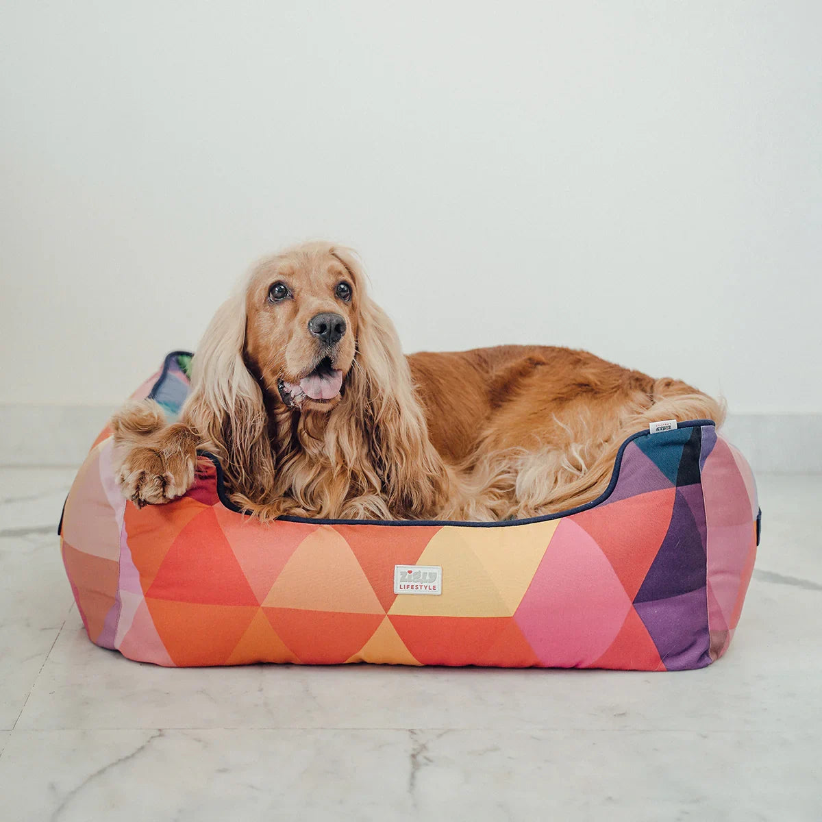 ZL Colourful Angular Lounger Dog Bed - Zigly