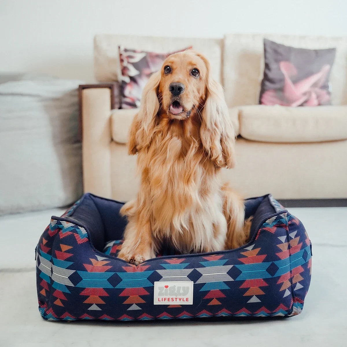 ZL Naval Force Ancestral Lounger Dog Bed - Zigly