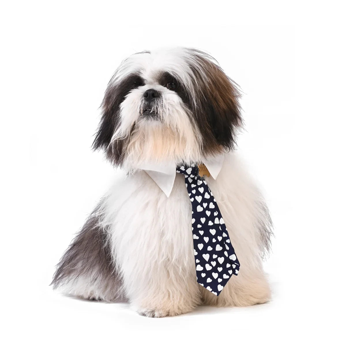 ZL XOXO Be Professional Dog Neck Tie - Zigly