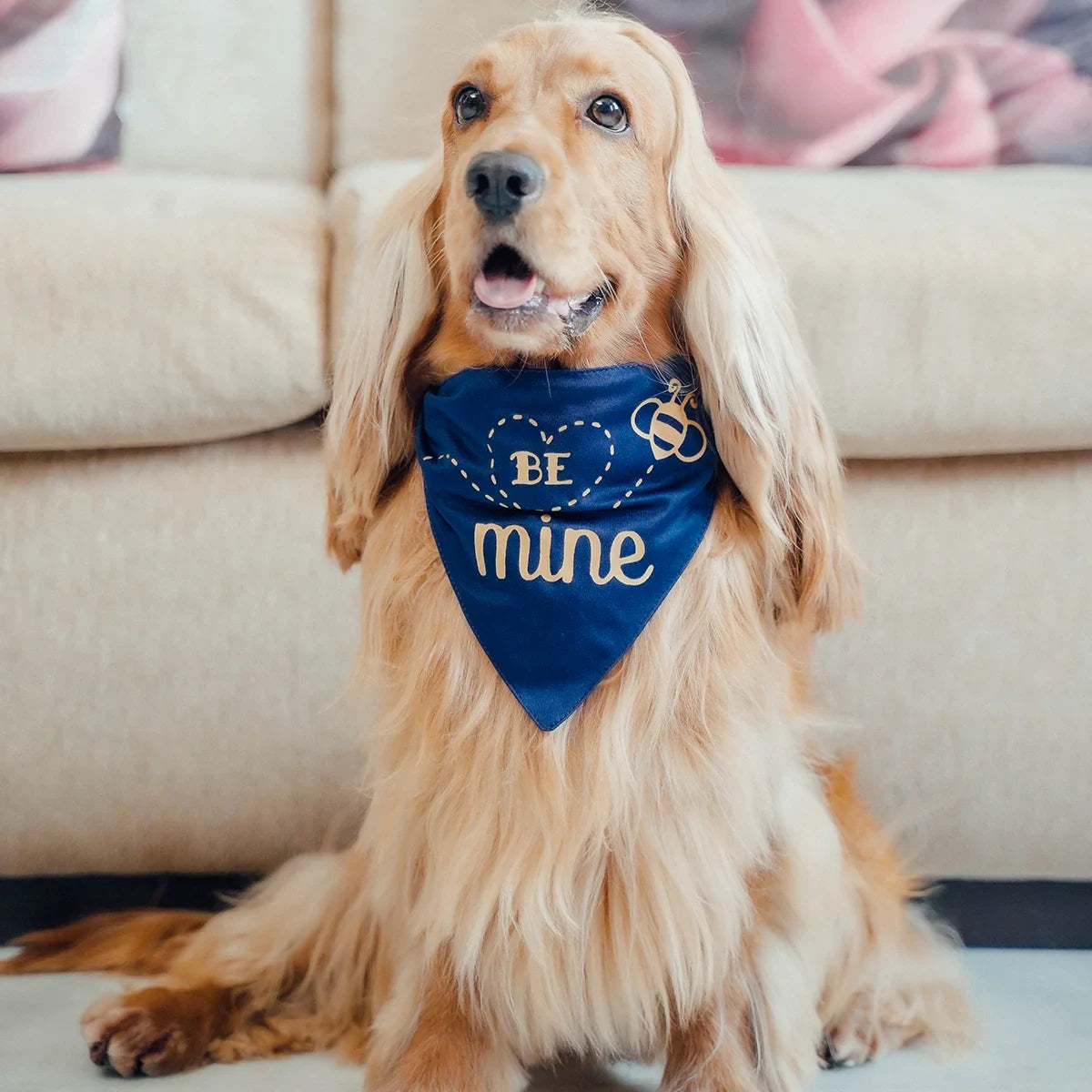 ZL Be Mine Dog Bandana - Zigly