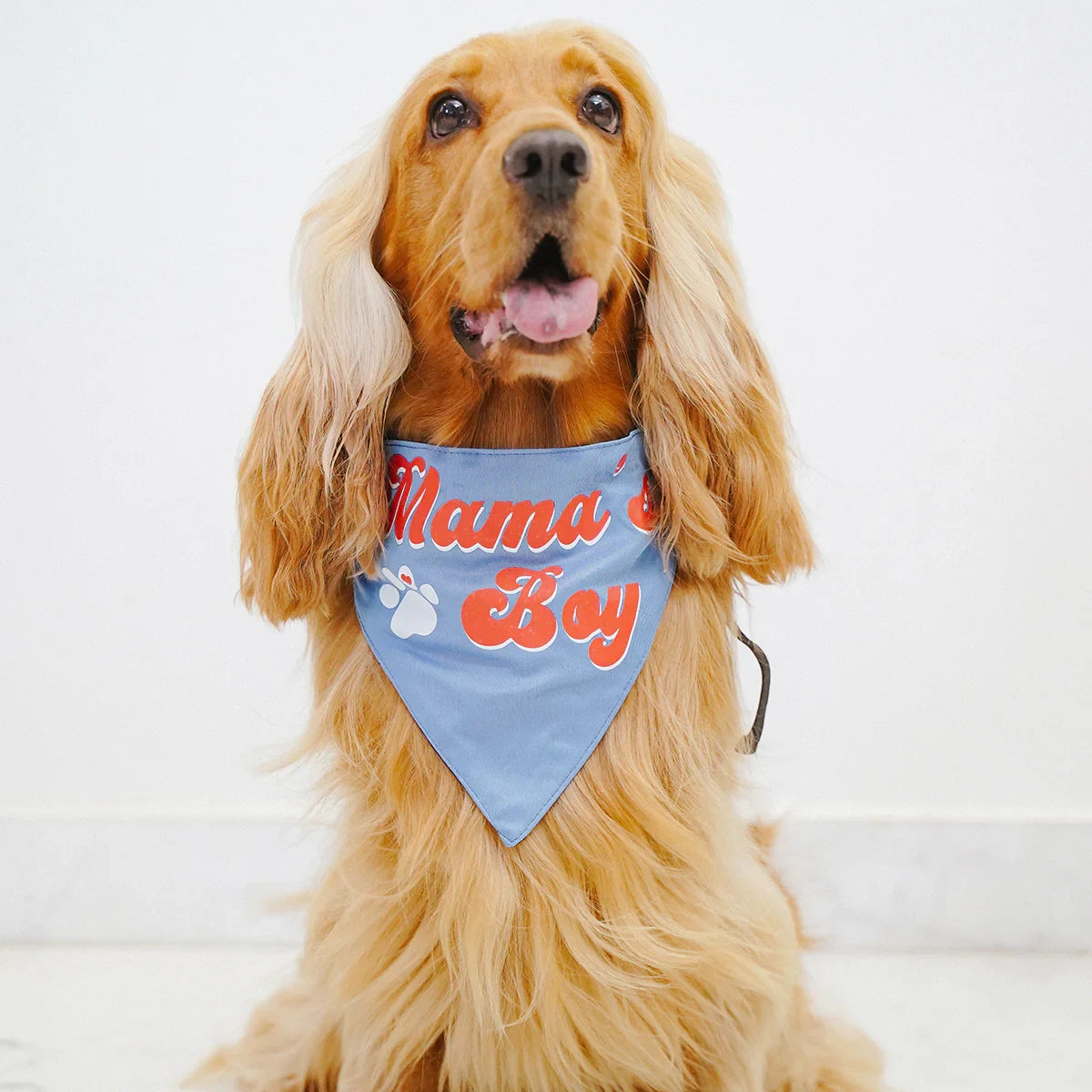 ZL Mama's Boy Dog Bandana - Zigly