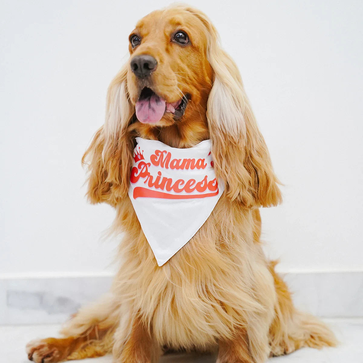 ZL Mama's Princess Dog Bandana - Zigly