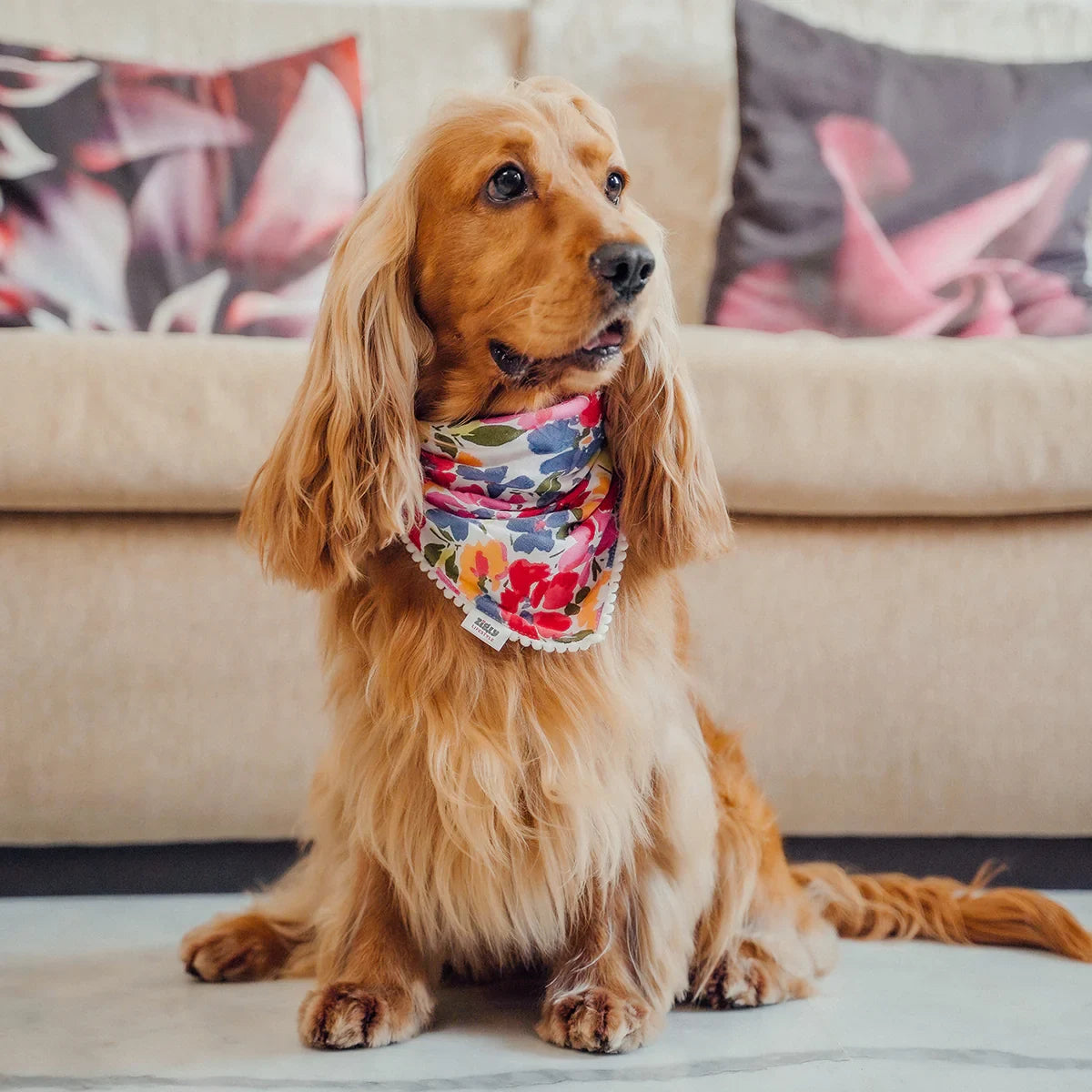 ZL Multicolour Floral Dog Bandana - Zigly