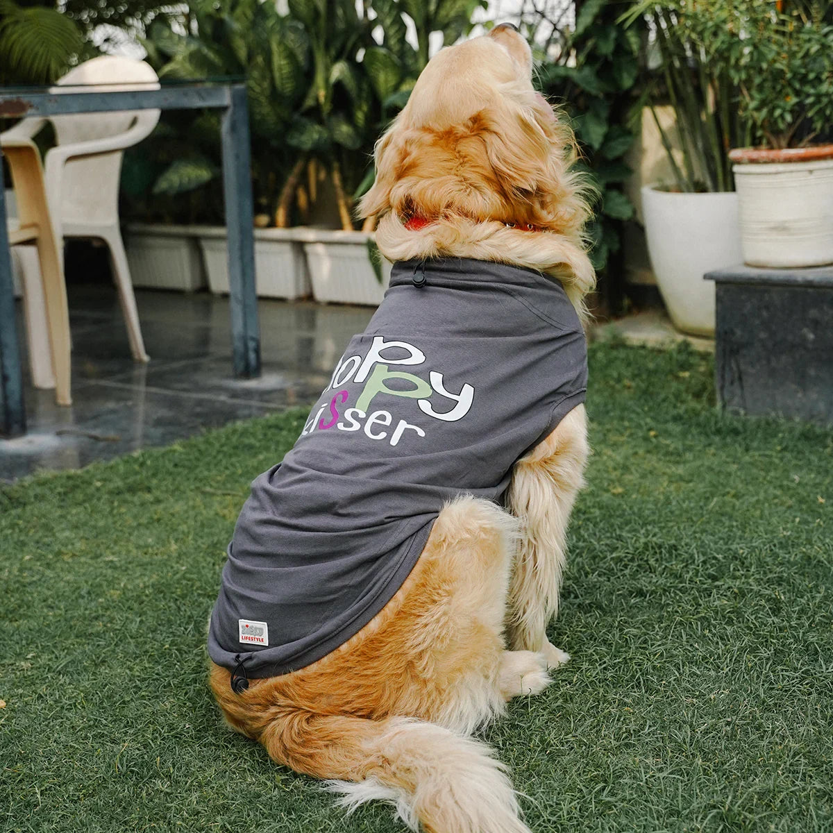 ZL Pet Sloppy Kisser Twin Dog T-Shirt - Zigly