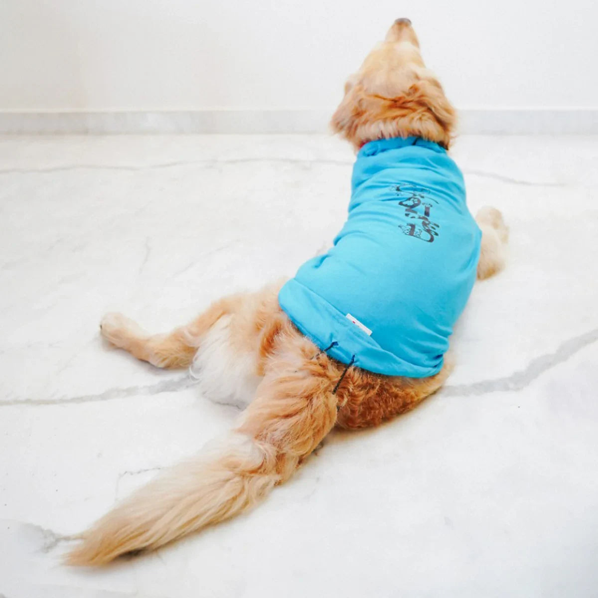 ZL Pet So Proud Dog T-Shirt-Large - Zigly