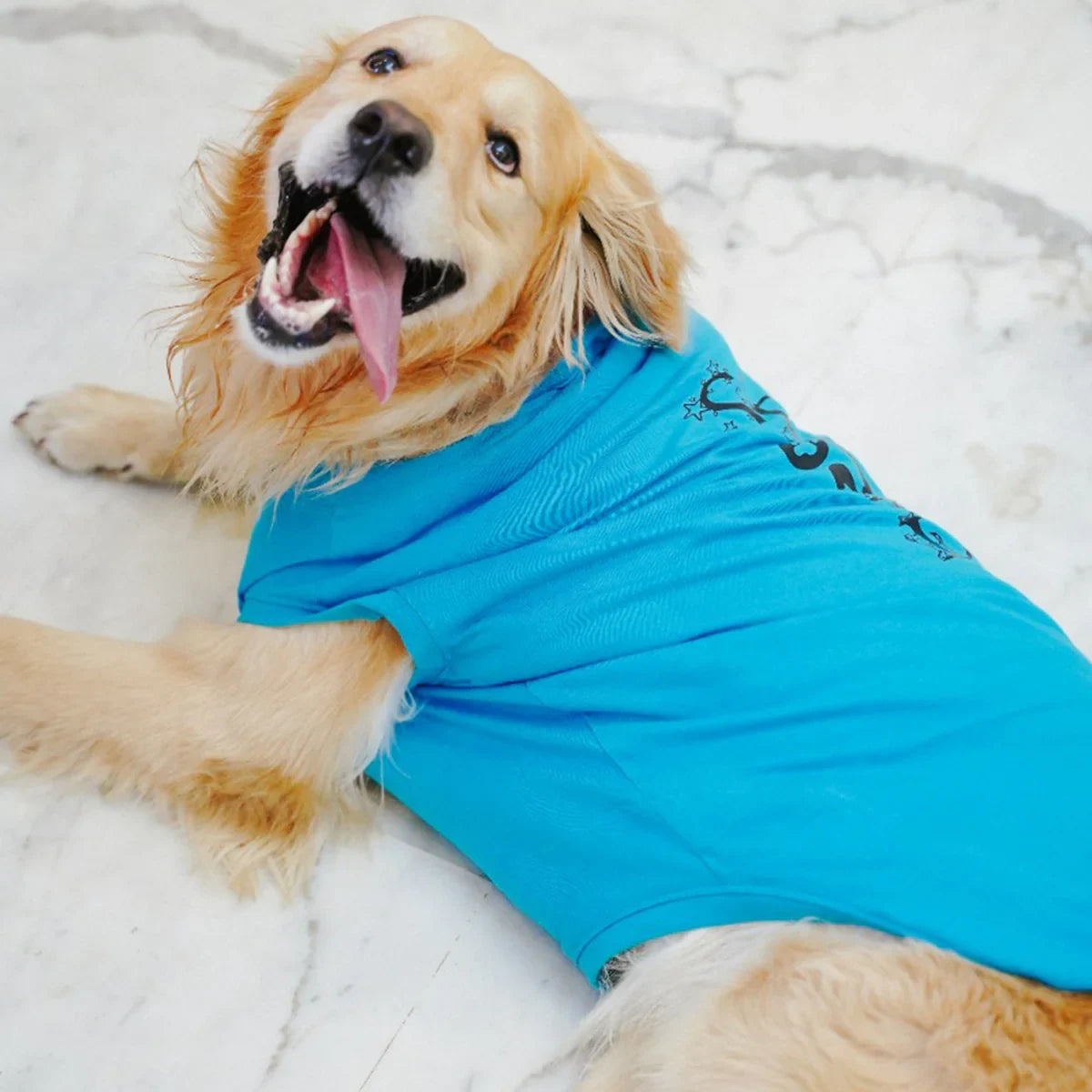 ZL Pet So Proud Dog T-Shirt-Large - Zigly