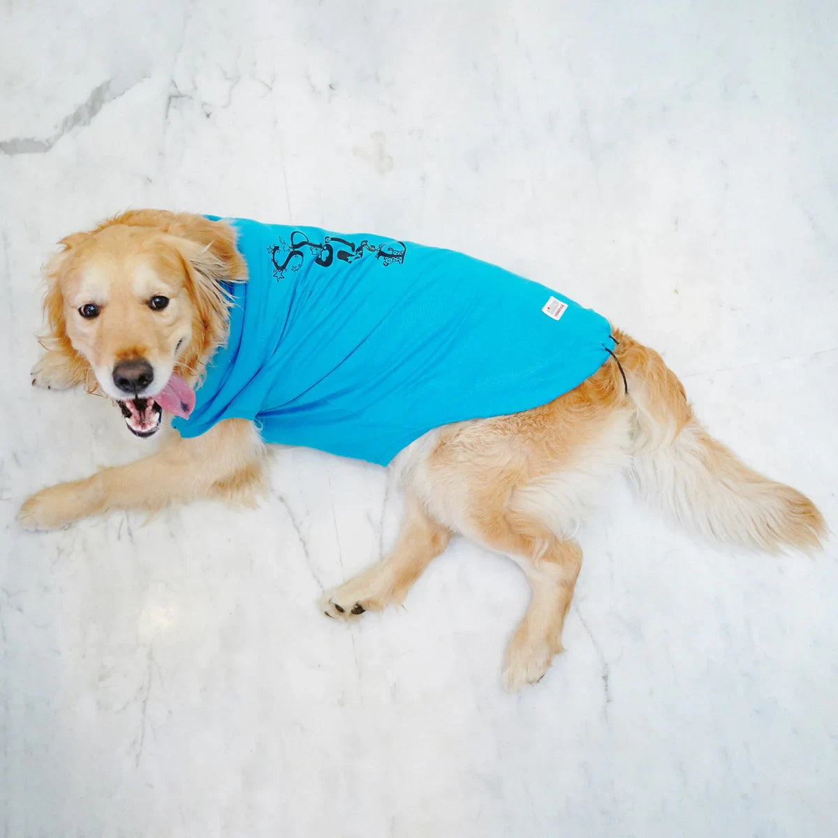 ZL Pet So Proud Dog T-Shirt-Large - Zigly