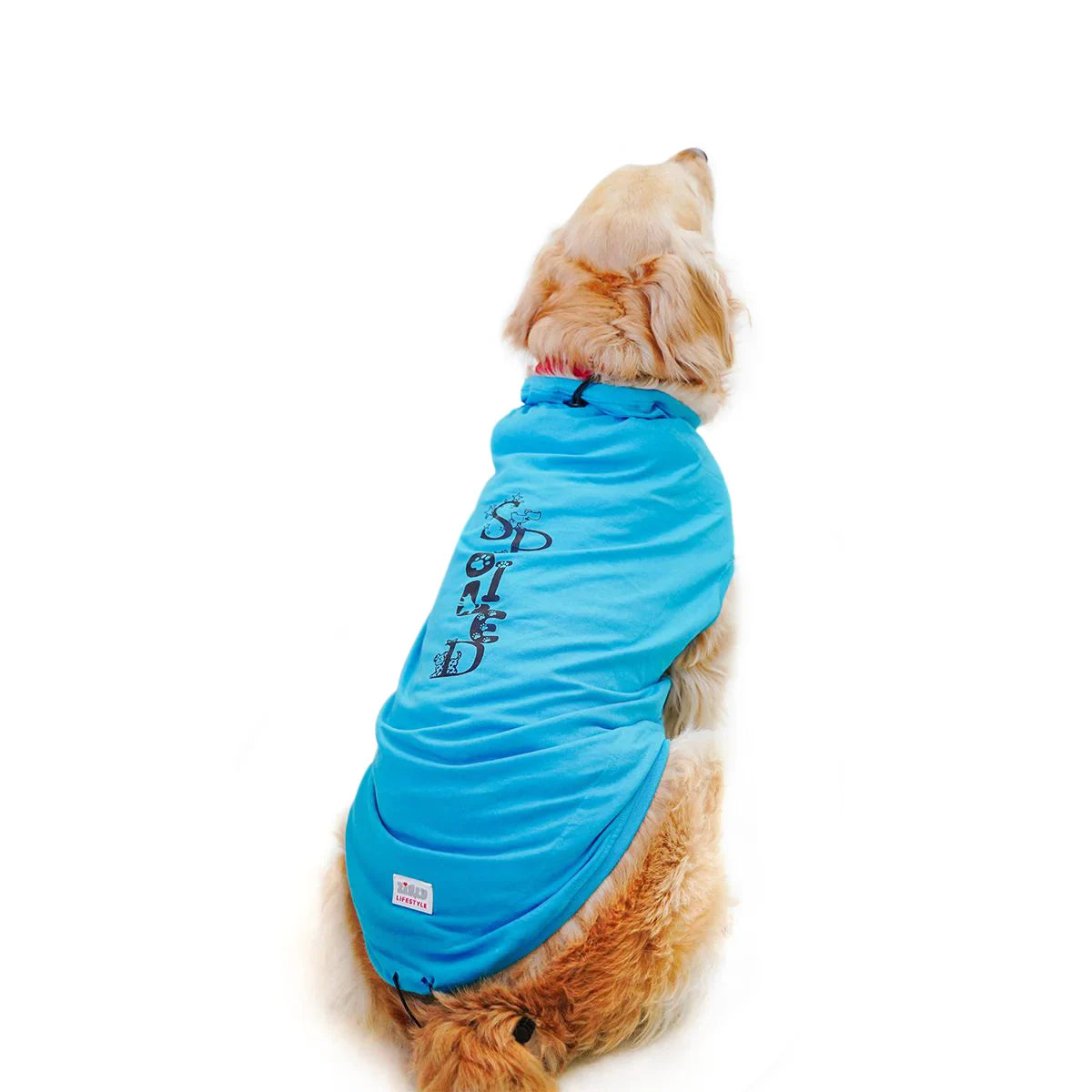 ZL Pet So Proud Dog T-Shirt-Large - Zigly