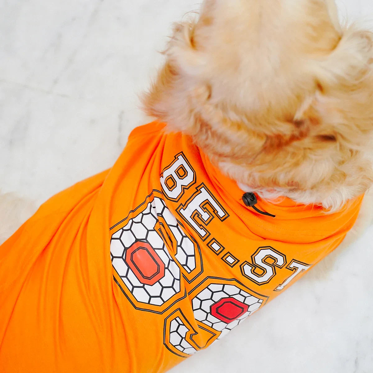 ZL Pet Best 69 Dog T-Shirt - Zigly