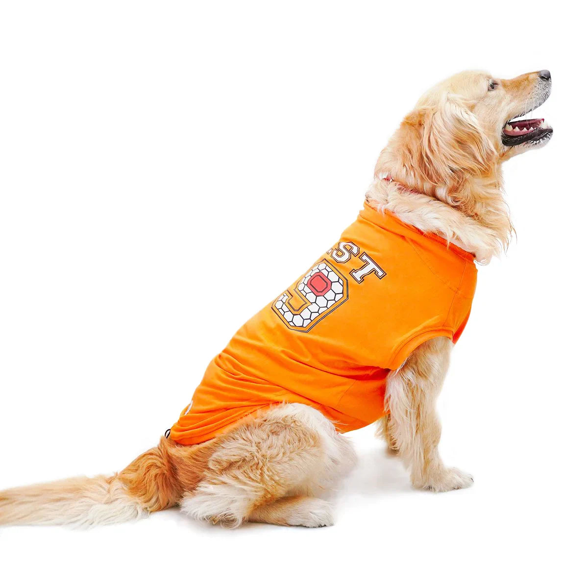 ZL Pet Best 69 Dog T-Shirt - Zigly
