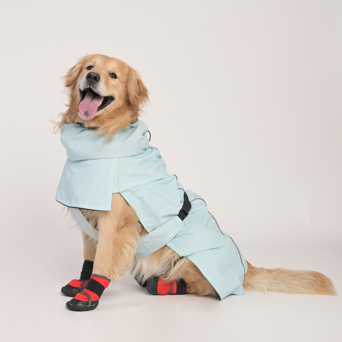 ZL Raincoat & Windcheater for Dogs - Blue - Zigly