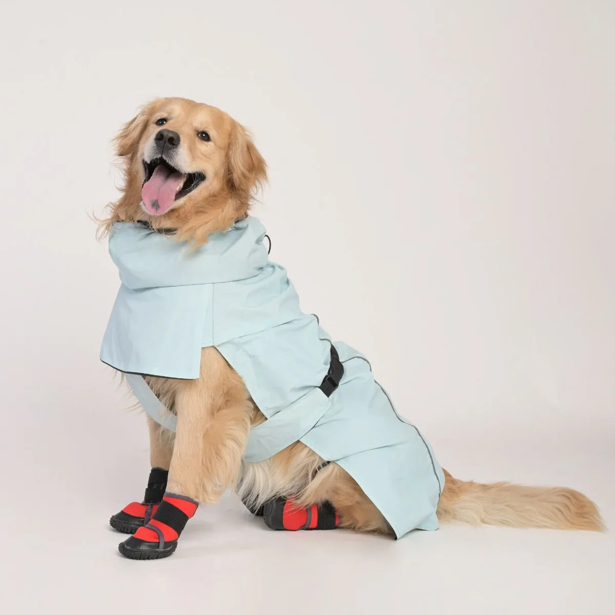 ZL Raincoat & Windcheater for Dogs - Blue - Zigly