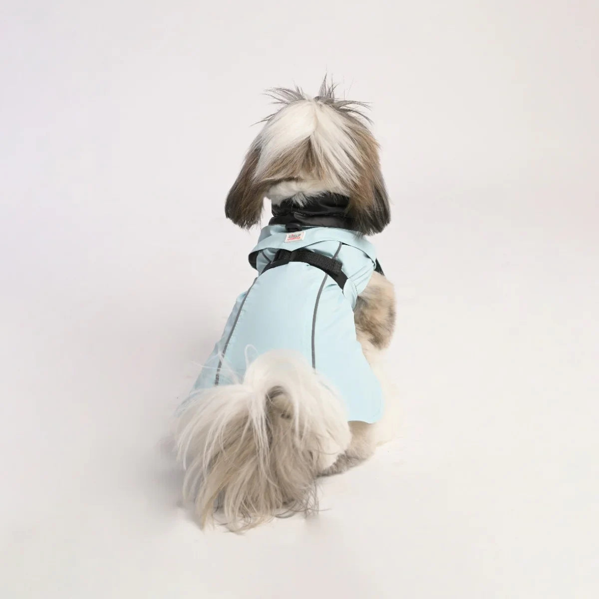 ZL Raincoat & Windcheater for Dogs - Blue - Zigly
