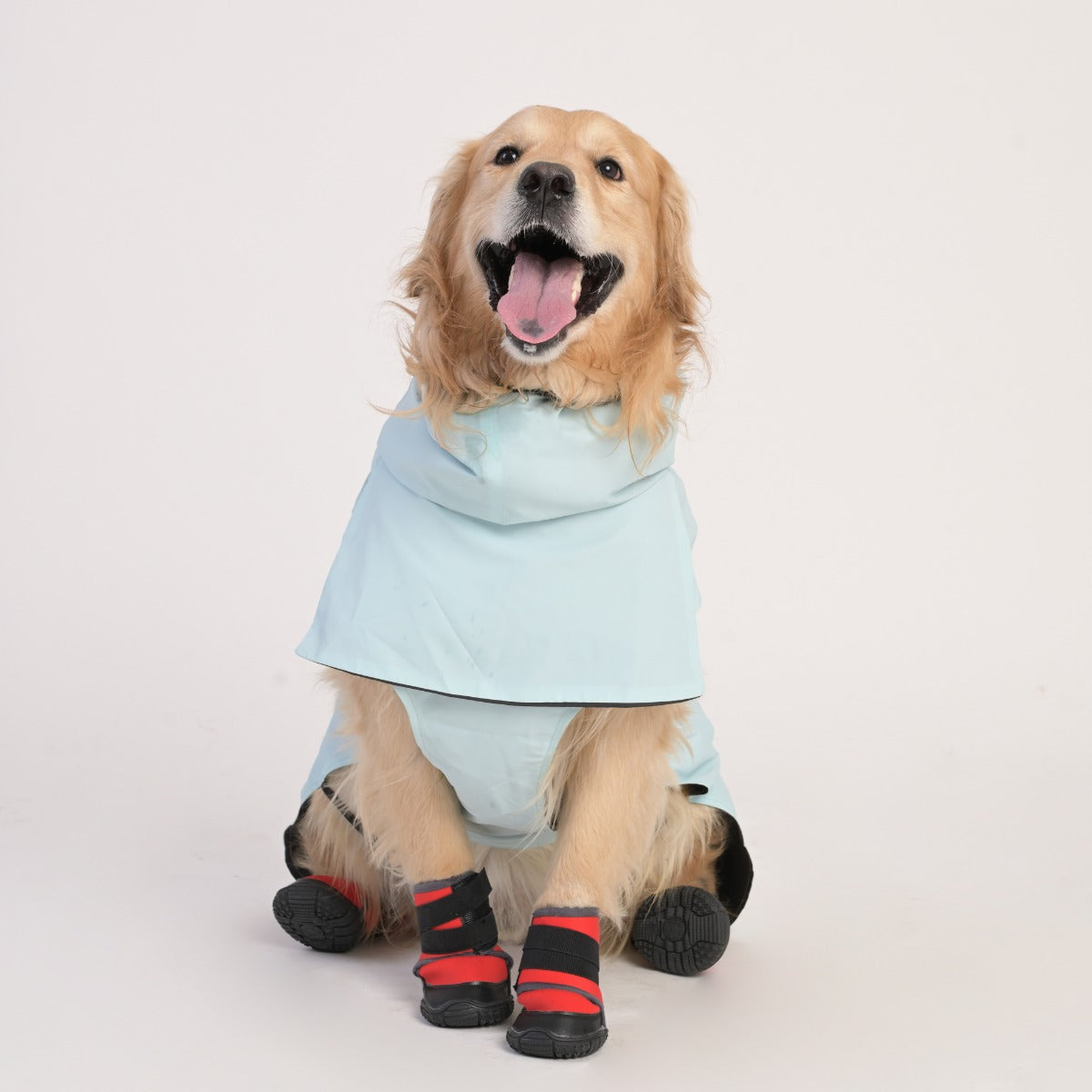 ZL Raincoat & Windcheater for Dogs - Blue - Zigly