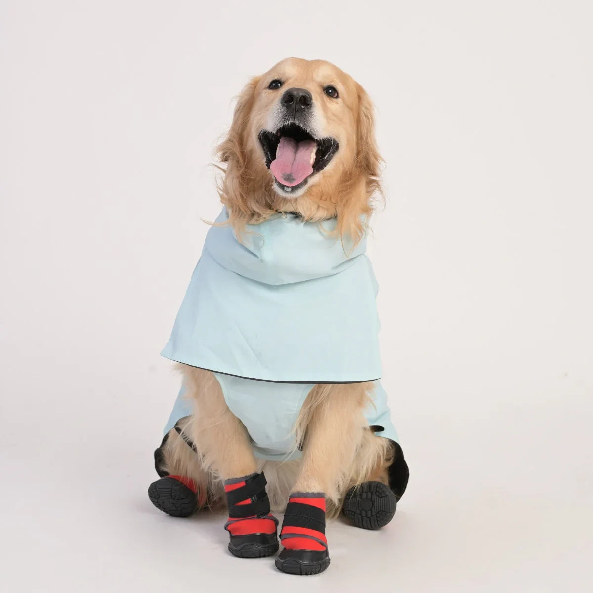 ZL Raincoat & Windcheater for Dogs - Blue - Zigly