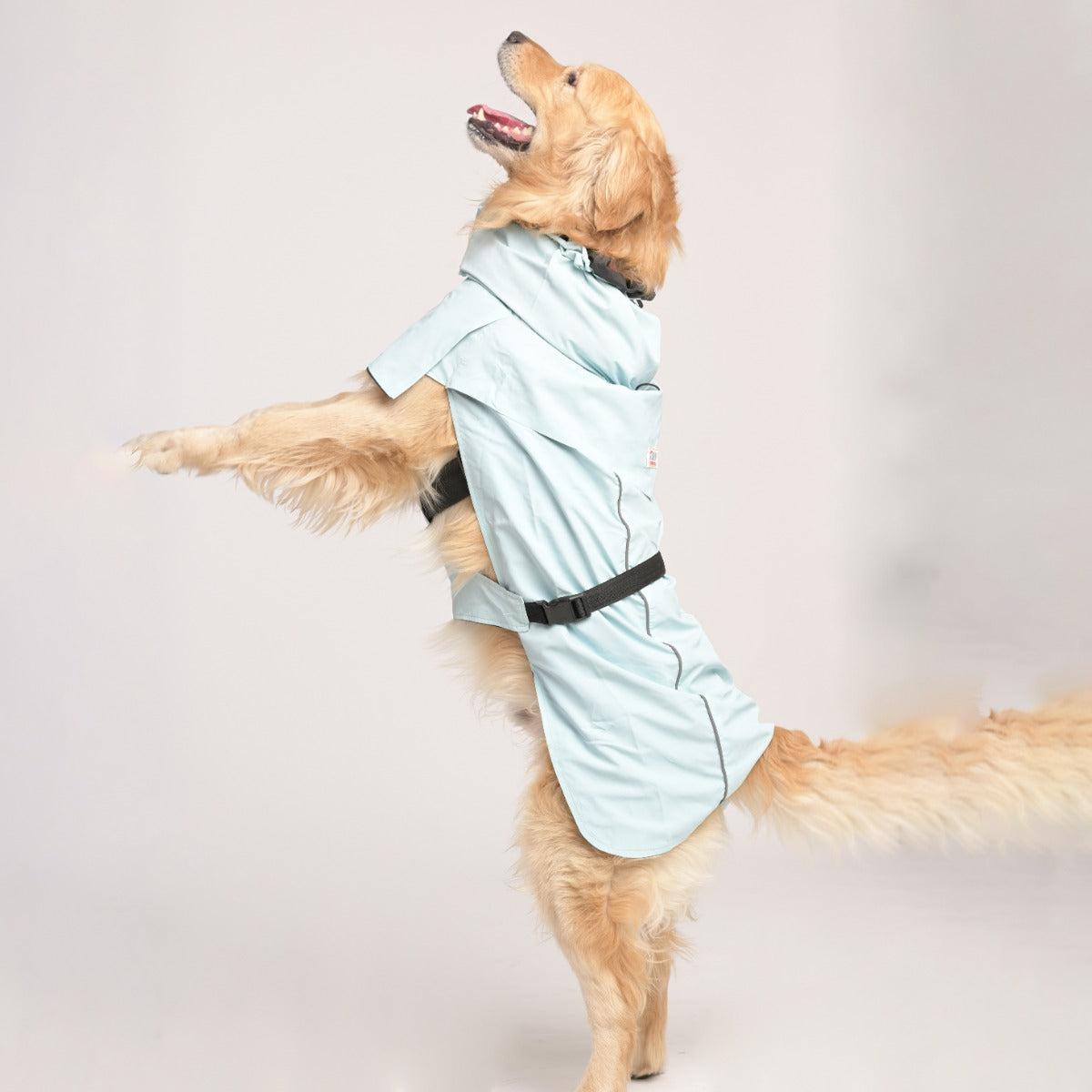 ZL Raincoat & Windcheater for Dogs - Blue - Zigly