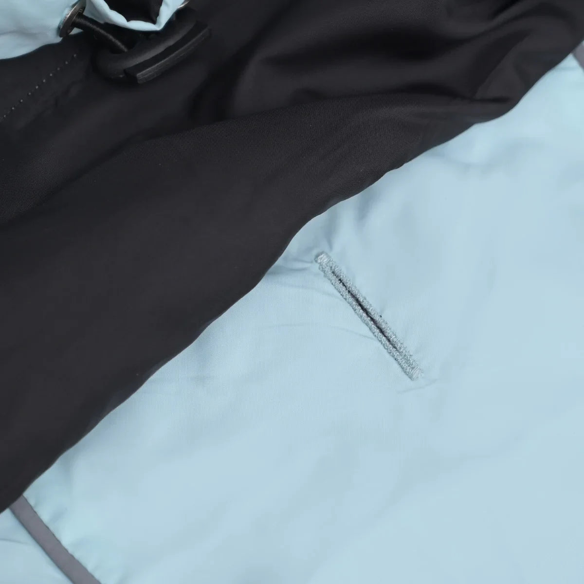 ZL Raincoat & Windcheater for Dogs - Blue - Zigly