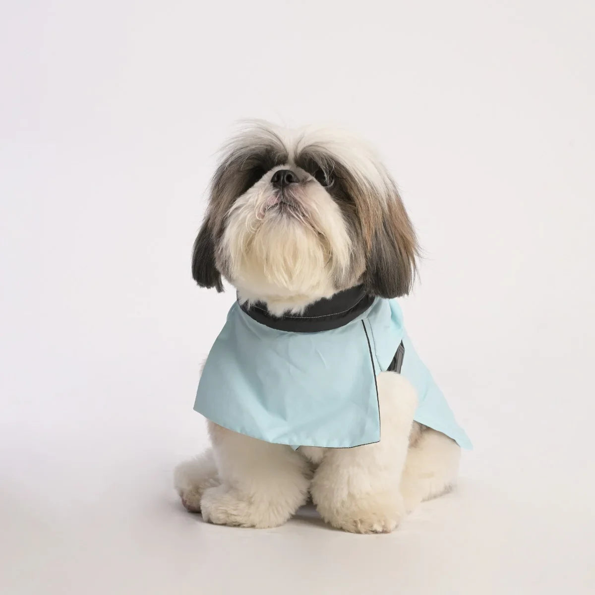 ZL Raincoat & Windcheater for Dogs - Blue - Zigly