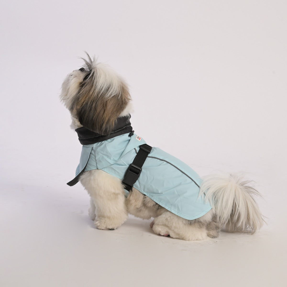 ZL Raincoat & Windcheater for Dogs - Blue - Zigly