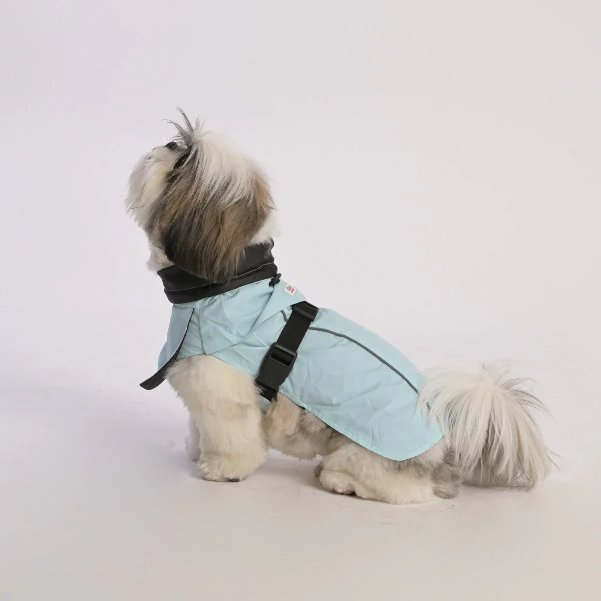 ZL Raincoat & Windcheater for Dogs - Blue - Zigly