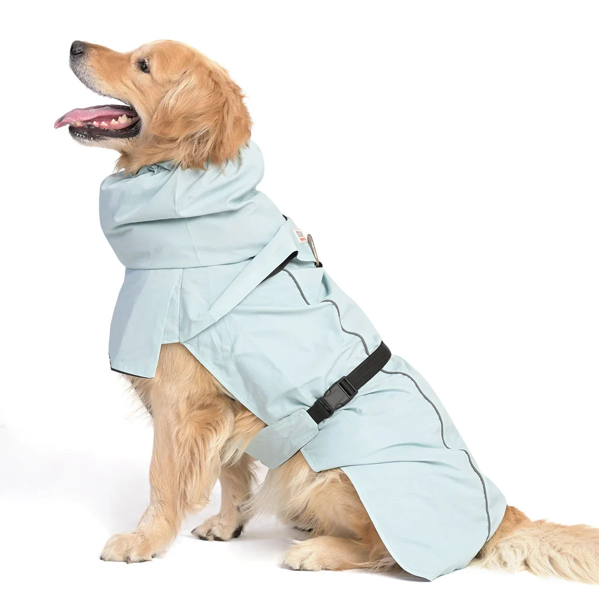 ZL Raincoat & Windcheater for Dogs - Blue - Zigly